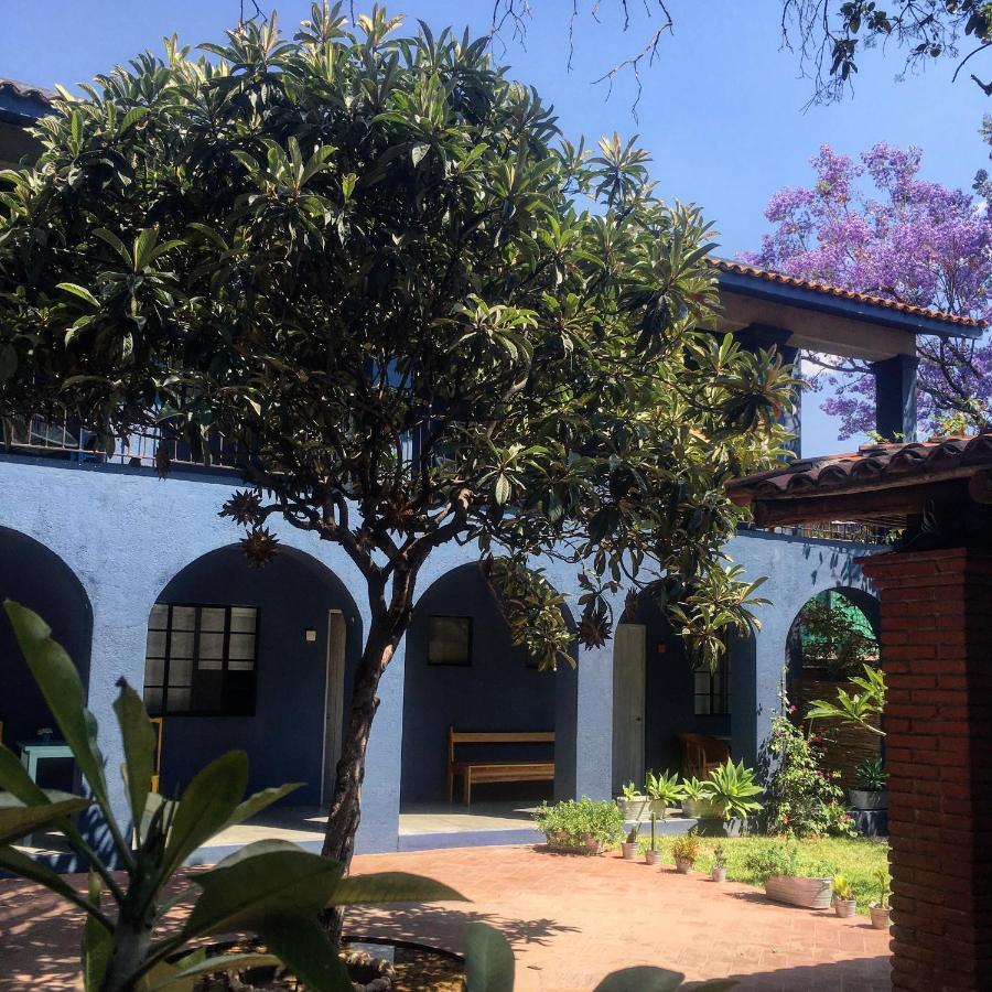 La Betulia Bed And Breakfast Oaxaca Εξωτερικό φωτογραφία