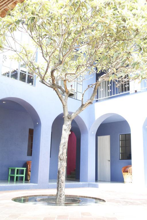 La Betulia Bed And Breakfast Oaxaca Δωμάτιο φωτογραφία